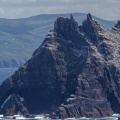 Skellig Islands / Puffins