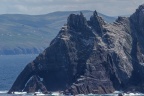 Skellig Islands / Puffins