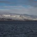 Bucht von Reykjavik (5)