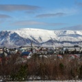 Reykjavik (3)