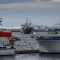 Reykjavik Hafen (2)