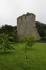 Drumin Castle