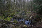 Venner Moor 03/2021
