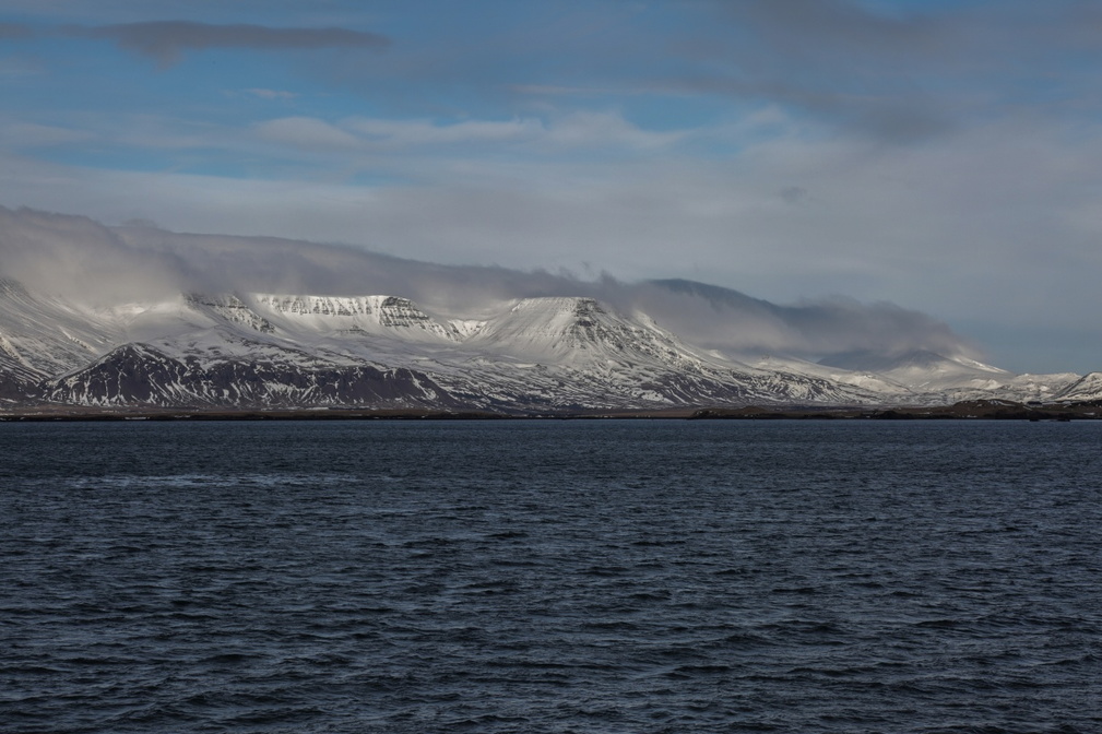 Bucht von Reykjavik (5)