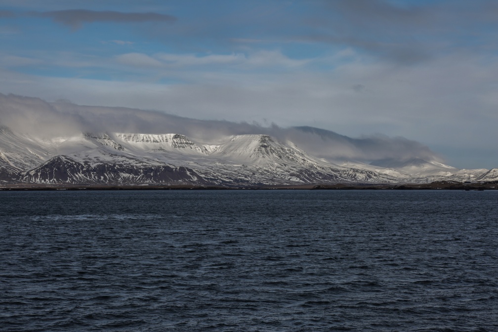 Bucht von Reykjavik (5).jpg
