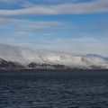 Bucht von Reykjavik (11)