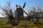 Saalow Windmühle