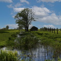 Naturpark Oderdelta