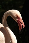 Tierpark Bochum