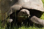 Tierpark Bochum