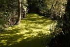 Biotopwildpark Anholter Schweiz