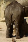 Zoologischer Garten 2020