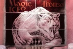 magic ice bar Tromso