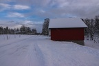 Arctic Nature Tour